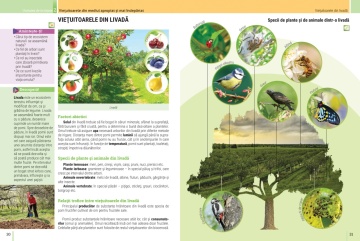 Biologie: Manual pentru clasa a V-a - Img 7