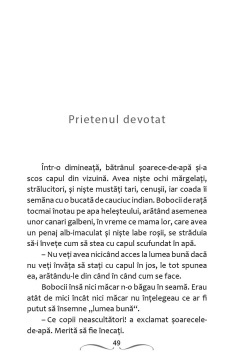 Printul fericit si alte povesti - Img 5