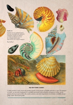 Lumea subacvatica - Img 6