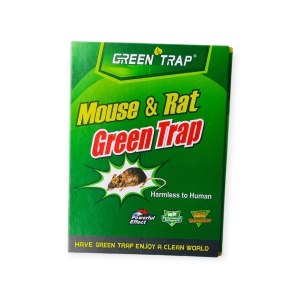 Capcana cu adeziv pentru șoareci și șobolani Green Trap – eficientă, sigură și ușor de folosit