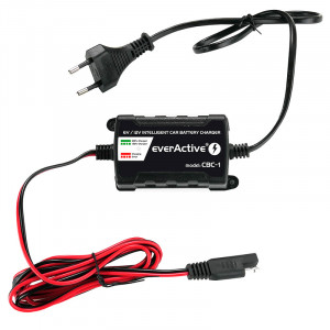 Incarcator cu Procesor EverActive CBC-1 pentru acumulatori 6-12V foto 4