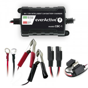 Incarcator cu Procesor EverActive CBC-1 pentru acumulatori 6-12V foto 1