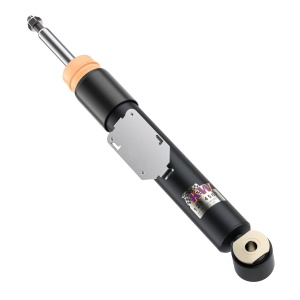 KW Coilover suspension V1 inox 10220094 - Img 11