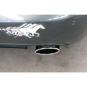 Supersprint Rear exhaust Right 145x95 - Img 3