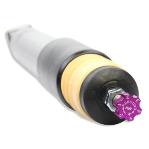 KW Coilover suspension V2 inox 15290032 - Img 6