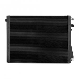 Radiator Kit 400001021