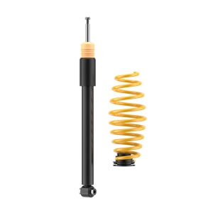 Coilovers ST X galvanized steel (with fixed damping) 1328000N - Img 8