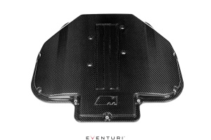 Eventuri Carbon Fiber Plenum Cover BMW M5 E39 S62