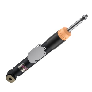 KW Coilover suspension V1 inox 10220094 - Img 10