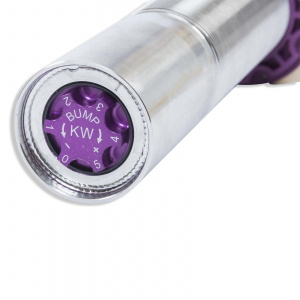 KW Coilover suspension V3 inox - Img 6