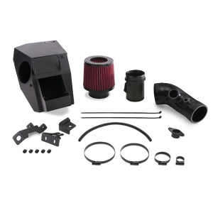 Mishimoto 17-21 Honda Civic Type-R Performance Air intake - Img 1