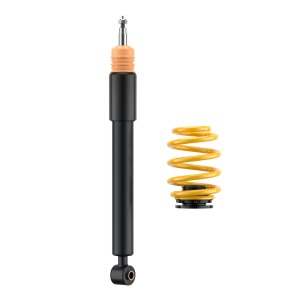 Coilovers ST X galvanized steel (with fixed damping) 132200AG - Img 8