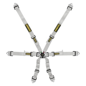 SCHROTH 94530A-9 Racing Harness Flexi 2x2 6-Point, Silver