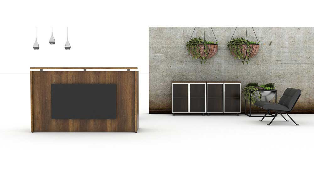 Set Birou Receptie