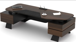 poza spate birou directorial premium maestro buzau  raspberry home