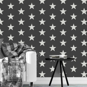 Sablon Perete vopsire, tencuiala 900x600x0.7mm Star Pattern Refolosibil, model MXSP7127
