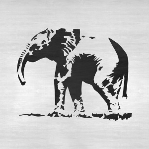 Sablon Perete vopsire, tencuiala 0.7mm Elefant model MXSP7418 - Img 4