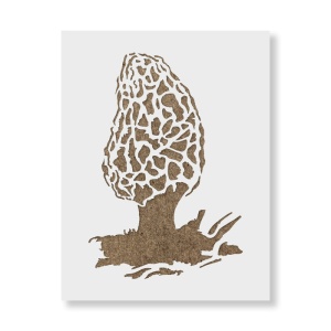 Sablon Perete vopsire, tencuiala 0.7mm Morel Mushroom Refolosibil, model MXSP7204