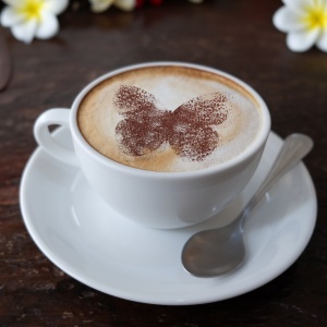 Set 14 sabloane decorare cafea 21 si 7 cm 0.5mm Fluturi model MXSP7350