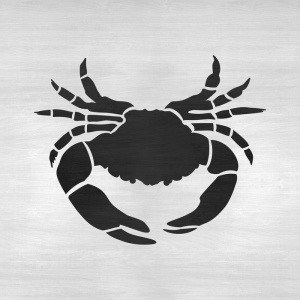 Sablon Perete vopsire, tencuiala 0.7mm Crab Maryland model MXSP7409 - Img 4