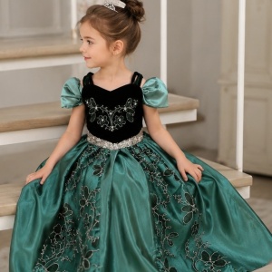 Deluxe kostim haljina princeze Ane Frozen - Img 2