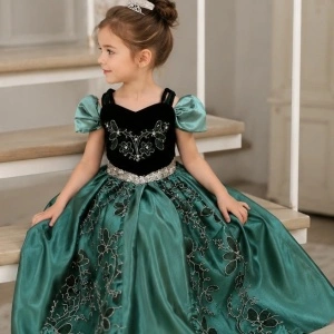 Deluxe kostim haljina princeze Ane Frozen - Img 2