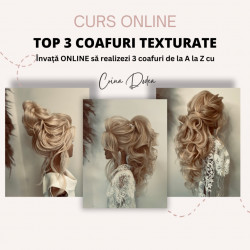 Curs Online - Top 3 Coafuri Texturate cu Crina Dodea