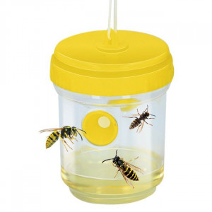 Capcana din Plastic pentru Insecte