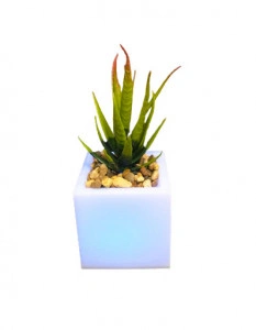 Lampa led decor planta