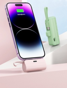 Side by side with a credit card — shows pocket size
