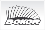 Bokor