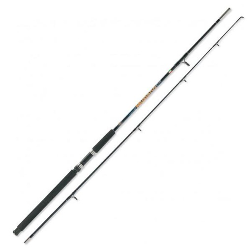 Lanseta Somn Lineaeffe Mustang Catfish 2.70m 100-250g