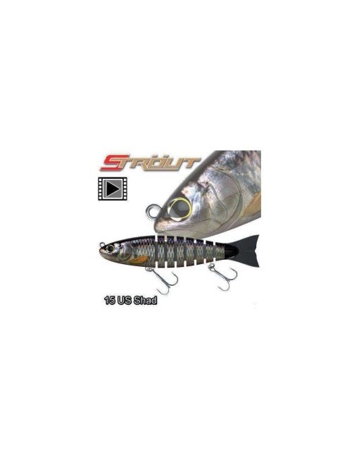 Biwaa Strout US Shad 14cm 29g