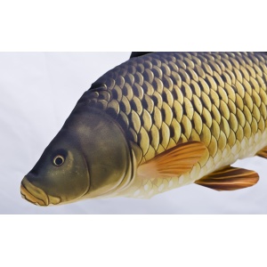 Crap Artificial din Plus 60cm Cadou Pescuit - echipament pentru pescuit - Fisela