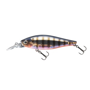 Daiwa TN Tightwave Shad 75F PGP 7.5cm 9g