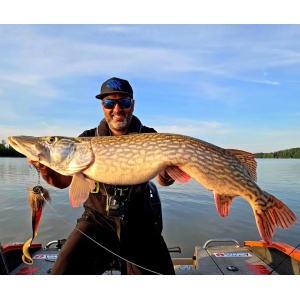 Montura Swimbait VMC Moustache Rig Capuccino (11g, 20g, 40g) - echipament pentru pescuit - Fisela
