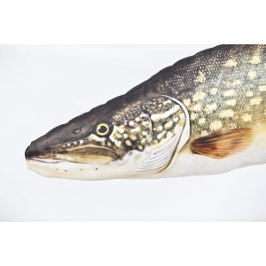 Perna Stiuca River Pike Cadou Pescar 90cm - echipament pentru pescuit - Fisela