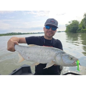 Rapala Crushcity The Kickman Brown Silver 10cm 7buc - Img 5