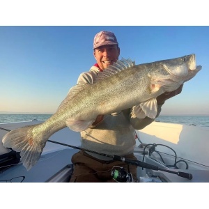 Rapala Crushcity The Kickman Pro Blue Red Pearl 10cm 7buc - Img 13