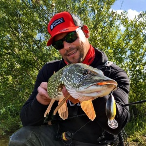 Rapala Dives-To DT08 P Perch 5cm 12g