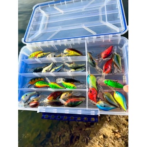 Rapala Dives-To DT08 SD Shad 5cm 12g