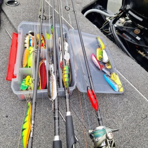 Rapala Rattlin Minnow RMSR08 PEL 8cm 16g - Img 4