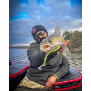 Rapala The Curl Ayu 9cm 8buc