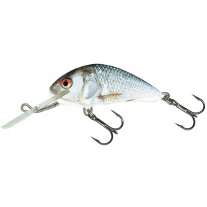 Salmo Hornet H4F Real Dace 4cm 3g