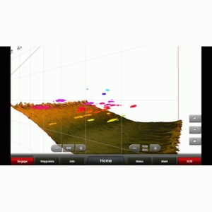 Sonda Garmin Panoptix PS30 Down - echipament pentru pescuit - Fisela