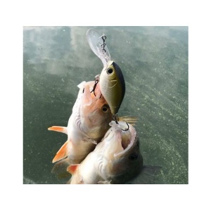 Strike Pro Cranky-X 60 Deep - A70-713 Silver Orange - echipament pentru pescuit - Fisela