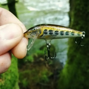 Vobler Rapala Vobler Pastrav Count Down CD07 FT 7cm 8g pentru pescuit la rapitori - Fisela