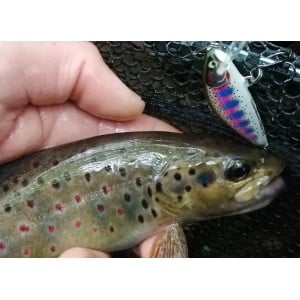 Vobler Rapala Countdown Elite CDE55 GDYM 5.5cm 5g pentru pescuit la rapitori - Fisela
