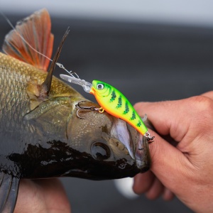 Vobler Rapala Harvest Shad HVSD07 S 7cm 9g