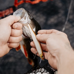 Vobler Rapala Vobler Precision Extreme Mavrik PKL 11cm 15g pentru pescuit la rapitori - Fisela